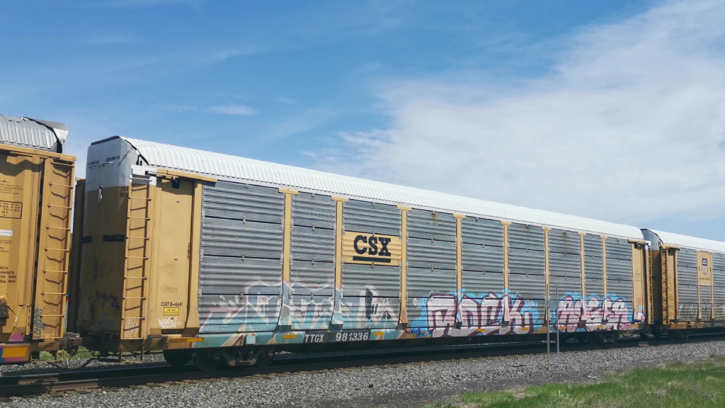 CSXT B6641 (Body) TTGX 981336 (Flat)